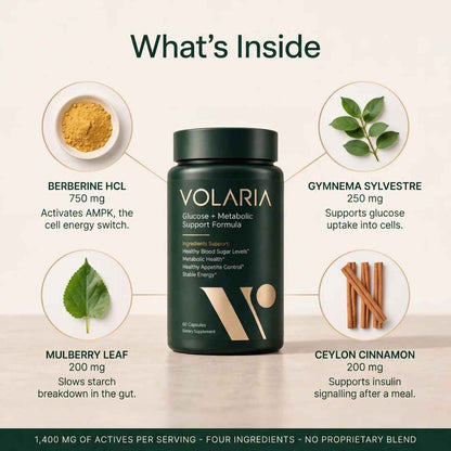 Glucose + Metabolic Support Formula