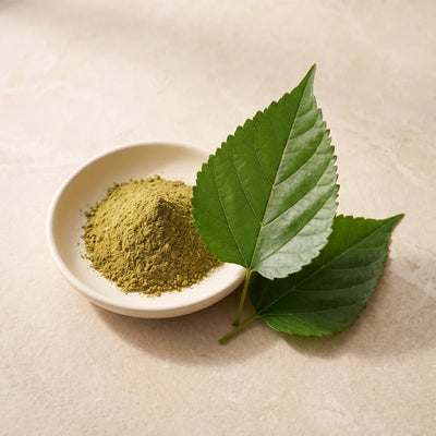 Fresh serrated mulberry leaves beside botanical powder.
